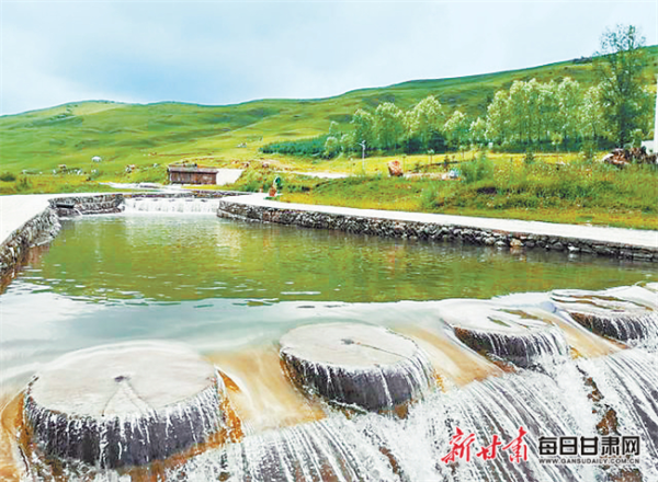 冬季,相约康乐白桦林