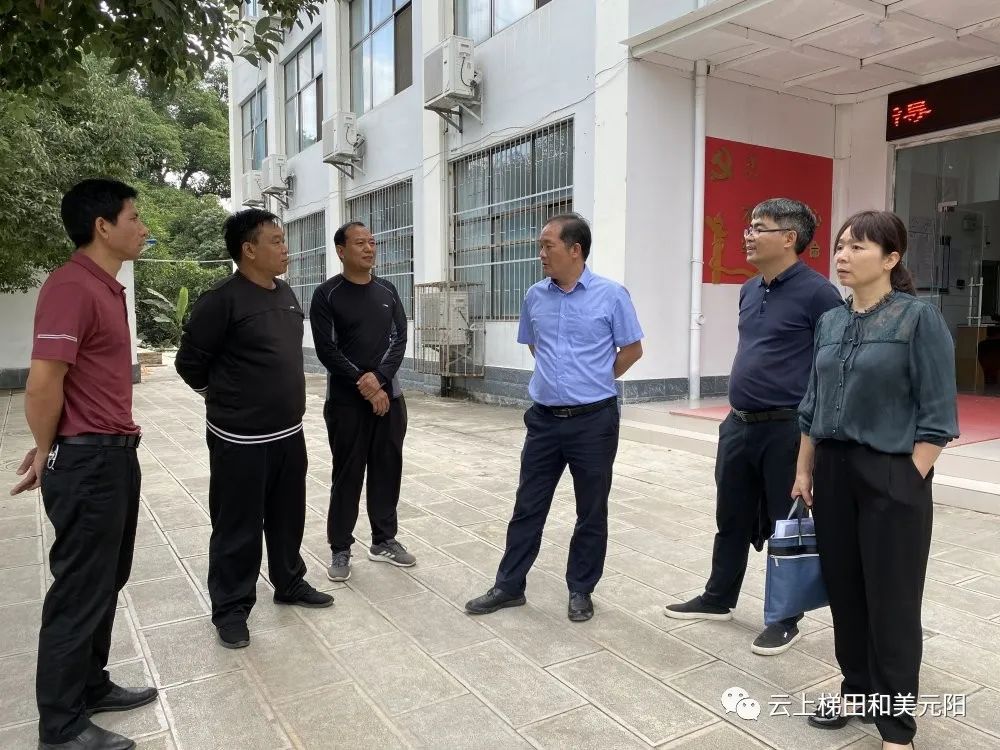 12月15日,县委副书记,县长张喆带队视察爱国卫生"7个专项行动"工作