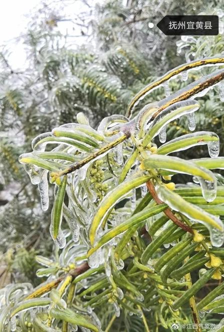 江西气温大反转(最新发布)