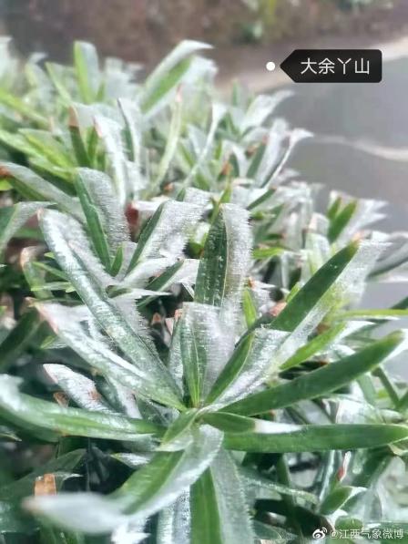 江西气温大反转(最新发布)