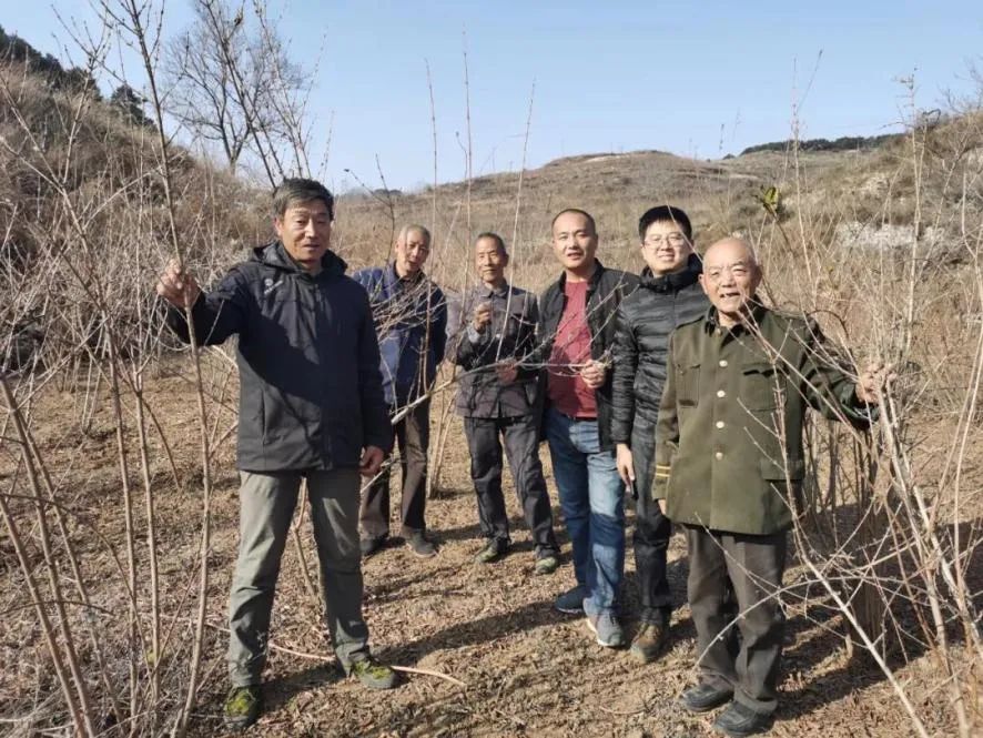 立冬初至,天气微凉,山西省晋城市陵川县马圪当乡双庙村驻村工作队对