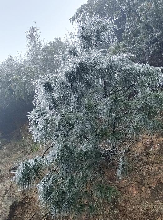 肇庆这里冷到结冰了!多地已发布橙色寒冷预警