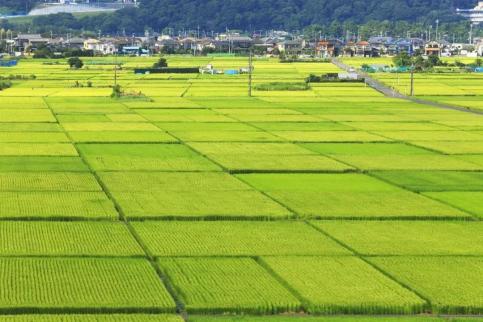 8000万亩!今年高标准农田建设任务将如期完成