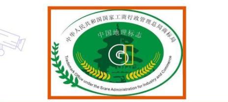 全县首单!"象山柑橘"投保地理标志商标专用权保险