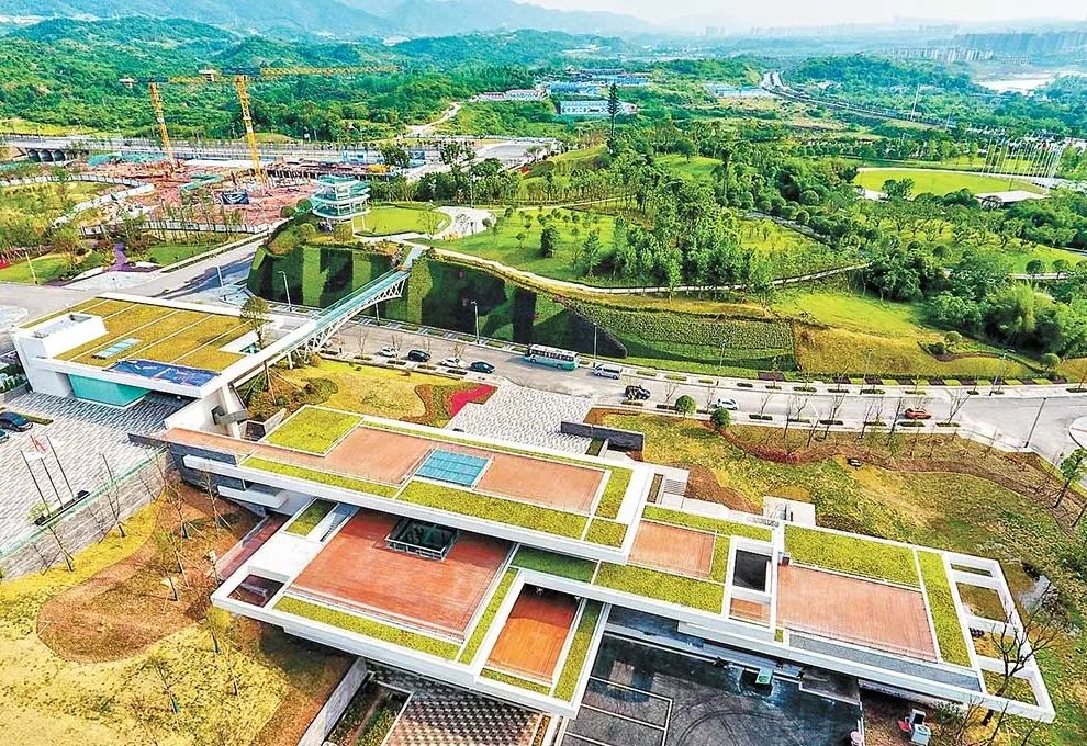 这个国家级试点,重庆为何如此重视?(最新发布)