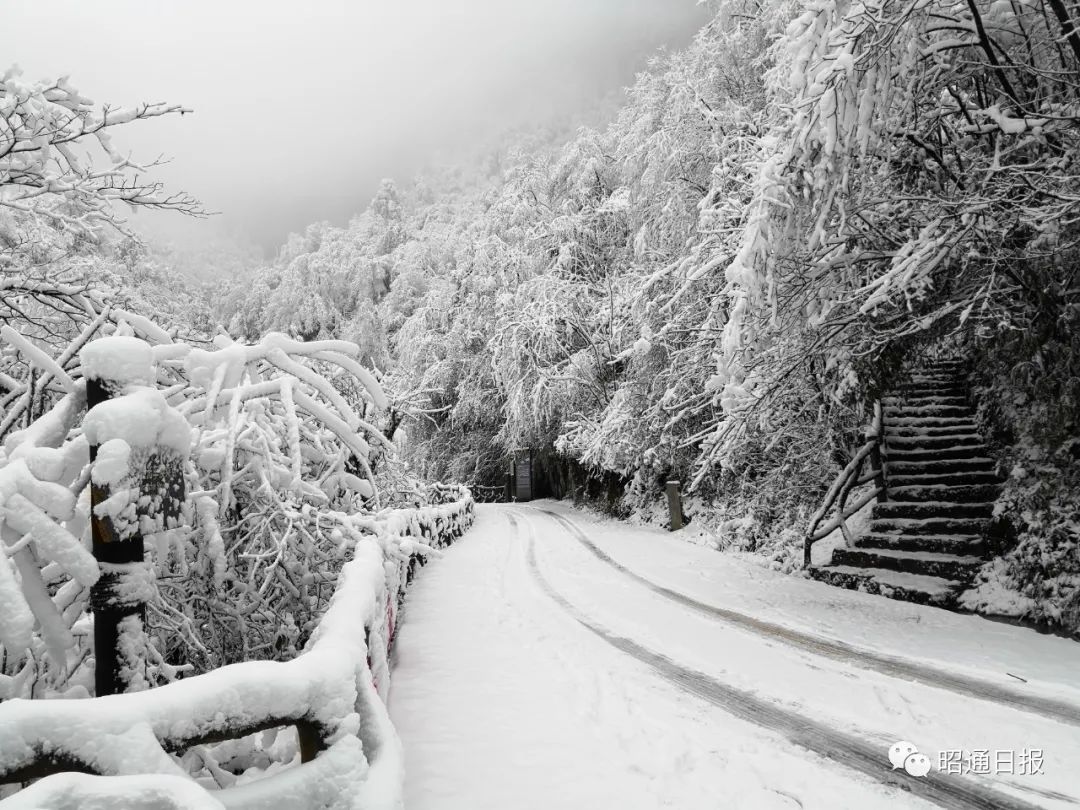 千呼万唤,《小草坝》震撼上线!踏雪吃天麻美食正当时,速去云南彝良