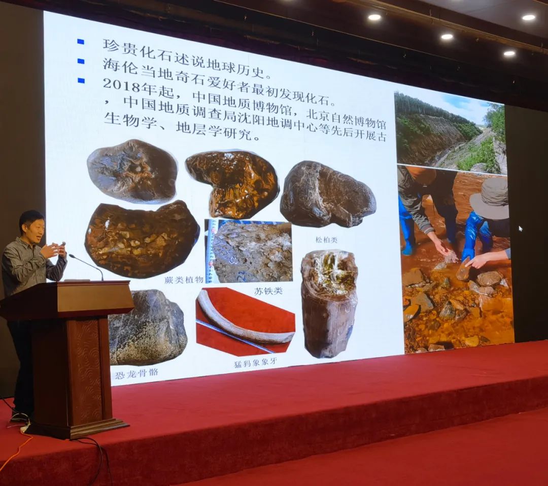 黑龙江海伦大峡谷发现罕见白垩纪生物群化石