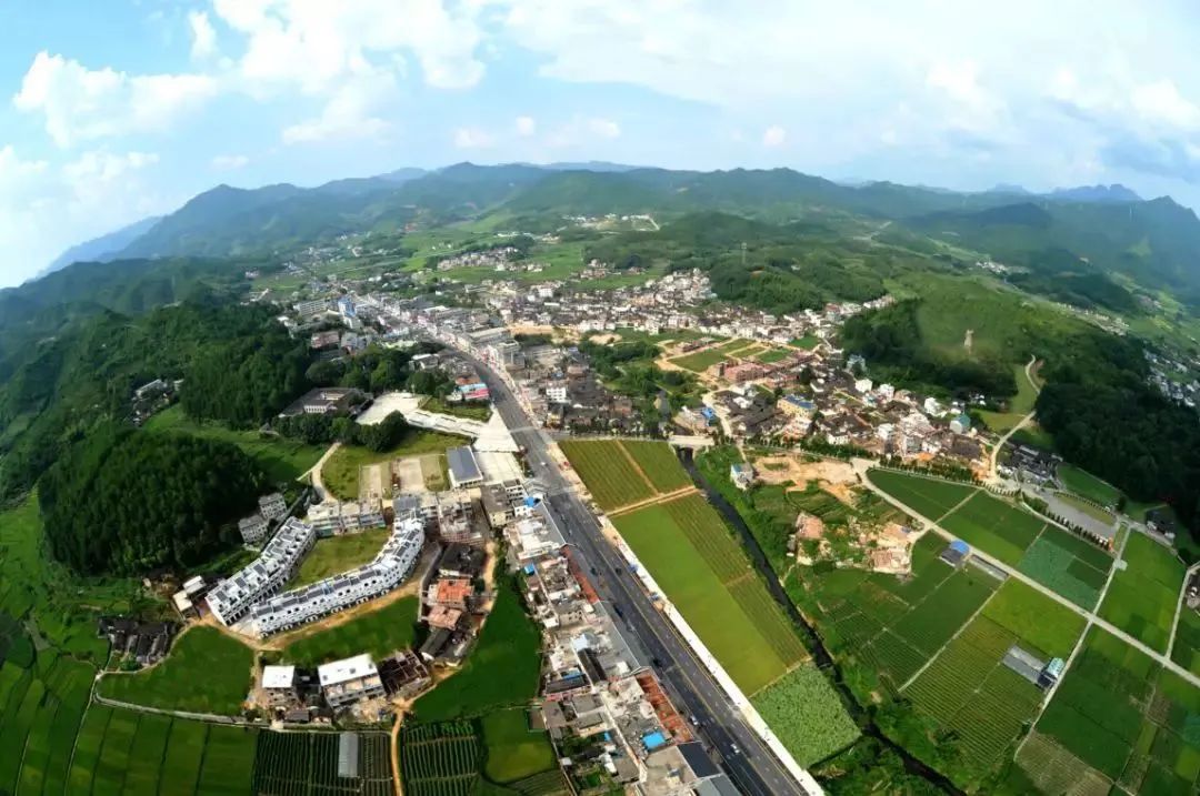 【地方】福建古田县:支部领办合作社走出强村富民新