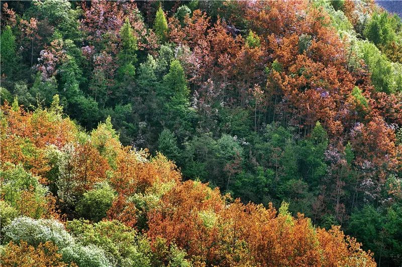 云南，这五年！（最新发布）