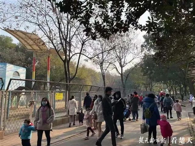 武汉动物园周日游客量创本月新高大波游客赶在闭园前来怀旧