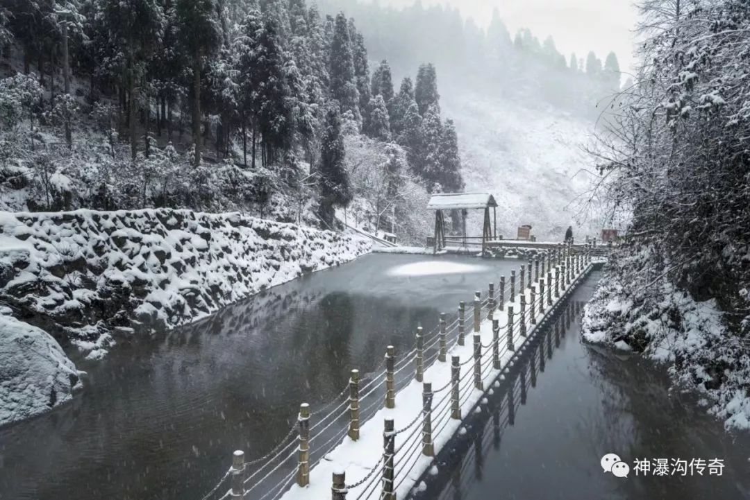 什邡红枫岭的雪,也是美轮美奂的!