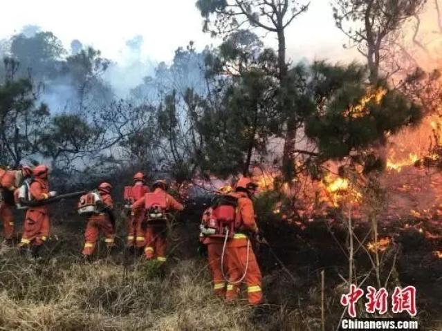 关注造成19人牺牲的凉山火灾原因查清了42人被追责