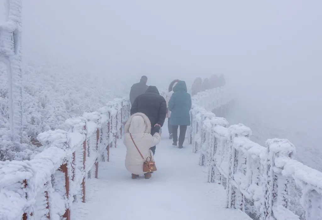 错过威宁雪景?别慌!来赫章韭菜坪!