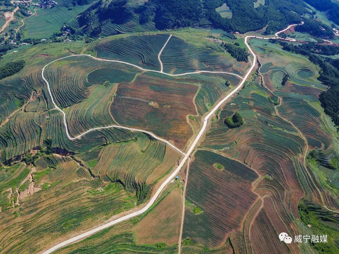 石门乡仰天窝马铃薯基地内的通组路和产业路海拉镇花果村通组路客运站