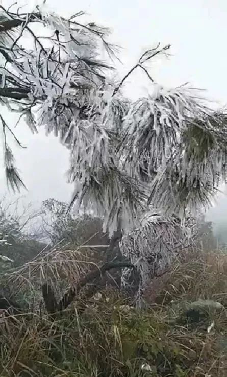 肇庆我点缀斑斓冬季只为邂逅你