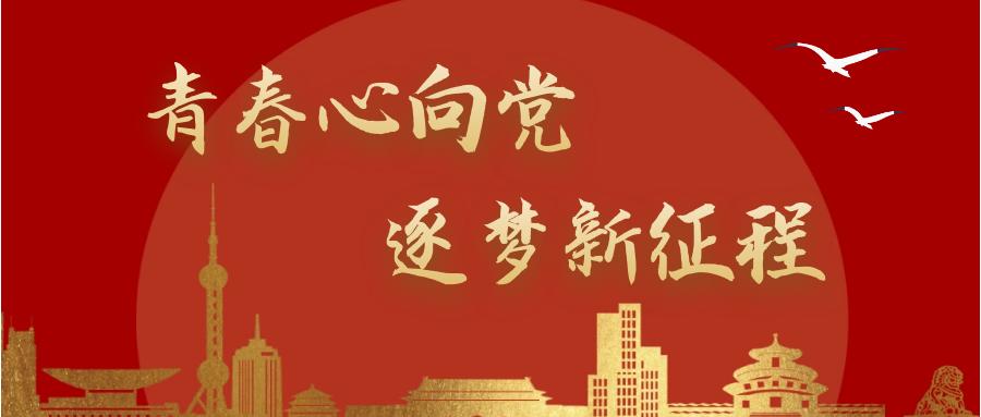 "青春心向党 逐梦新征程" 庆祝中国共产党成立100周年专题实践