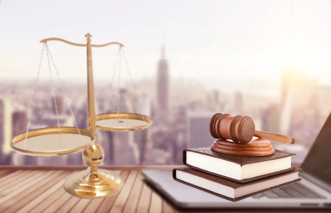 陆淳：向法而生，求真不止丨上海市先进工作者风采展（最新发布）