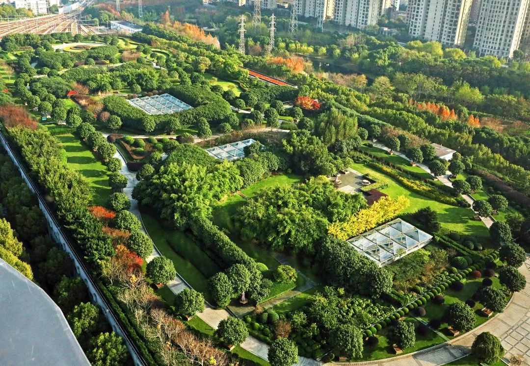 立体绿化在缓解城市热岛问题,增加城市雨水蓄积能力,减少城市噪音