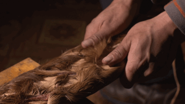 赞！这份名单，新疆15项入选（最新发布）