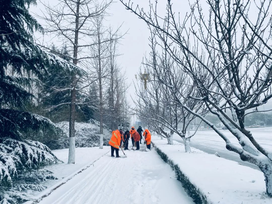 大雪已到!暴雪,道路结冰双预警!今天还要继续下.