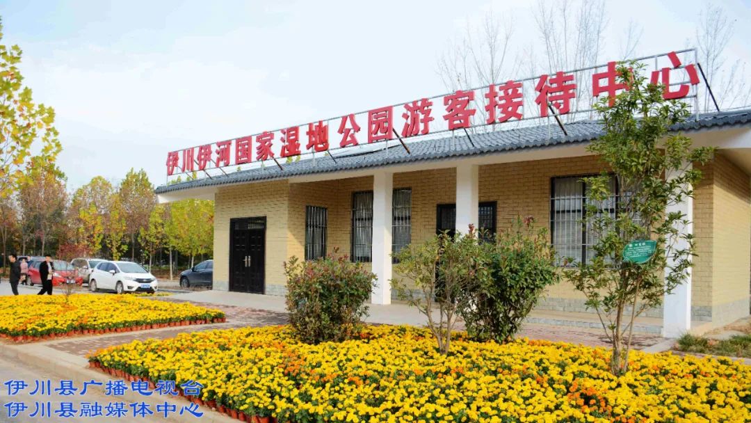 权威发布:伊川伊河入列国家湿地公园