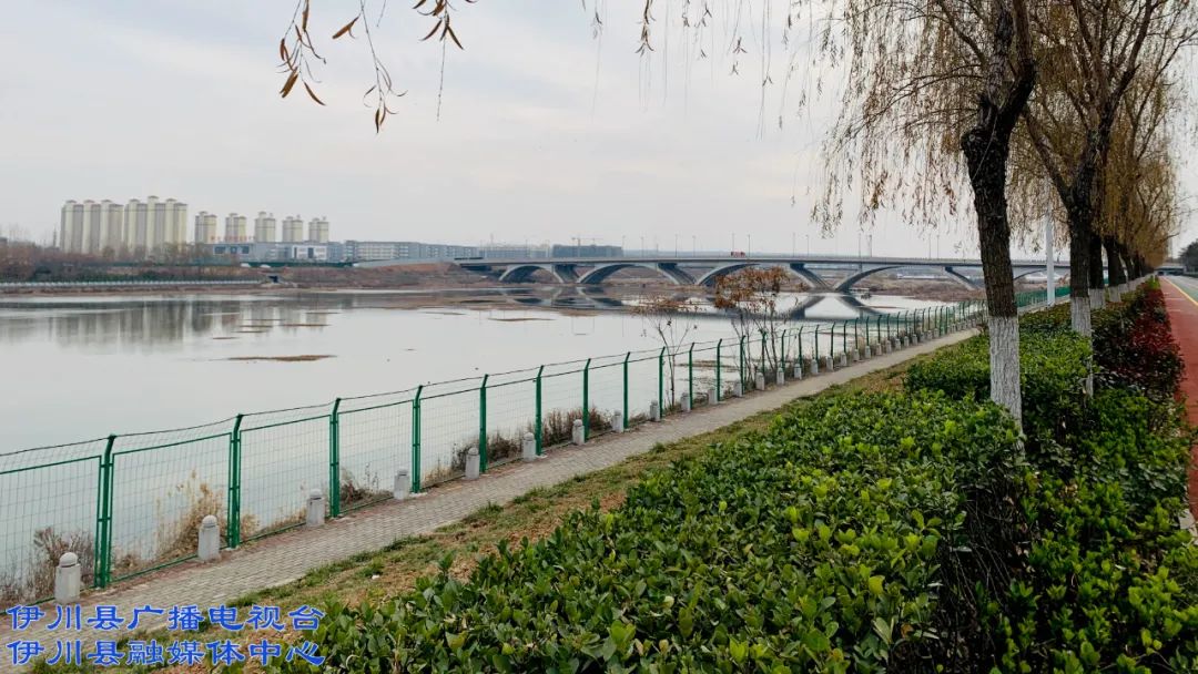 权威发布:伊川伊河入列国家湿地公园