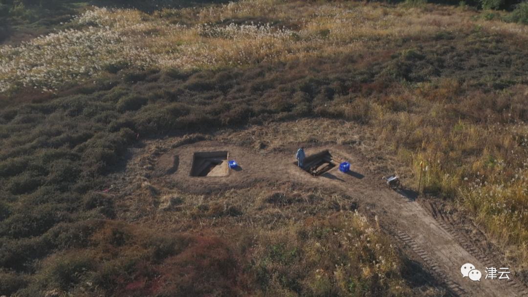 是什么让这些天津人如此兴奋？他们挖出了......（最新发布）