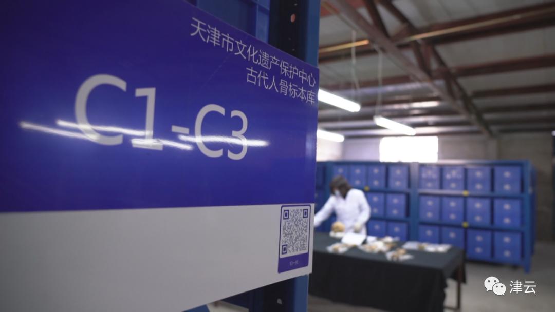 是什么让这些天津人如此兴奋？他们挖出了......（最新发布）