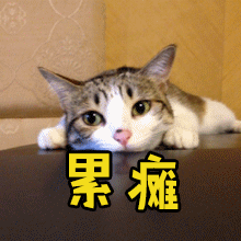 周围肌肉肌腱滑囊 这是一种无菌性炎症 长年累月积累的退行性的变化