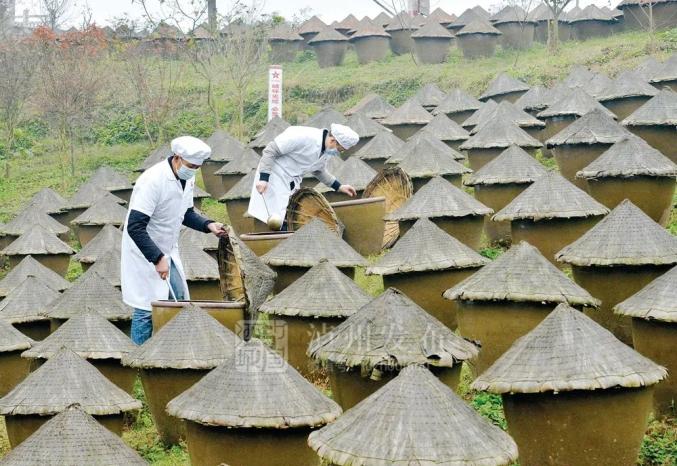 泸州忆家香食品有限公司由万昭玲返乡创立,公司集食品研发,生产,销售