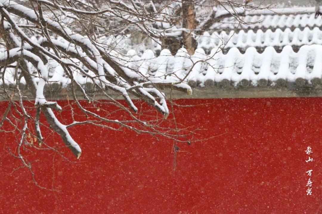 红墙白雪一下雪蒙山这个地方就美成了故宫