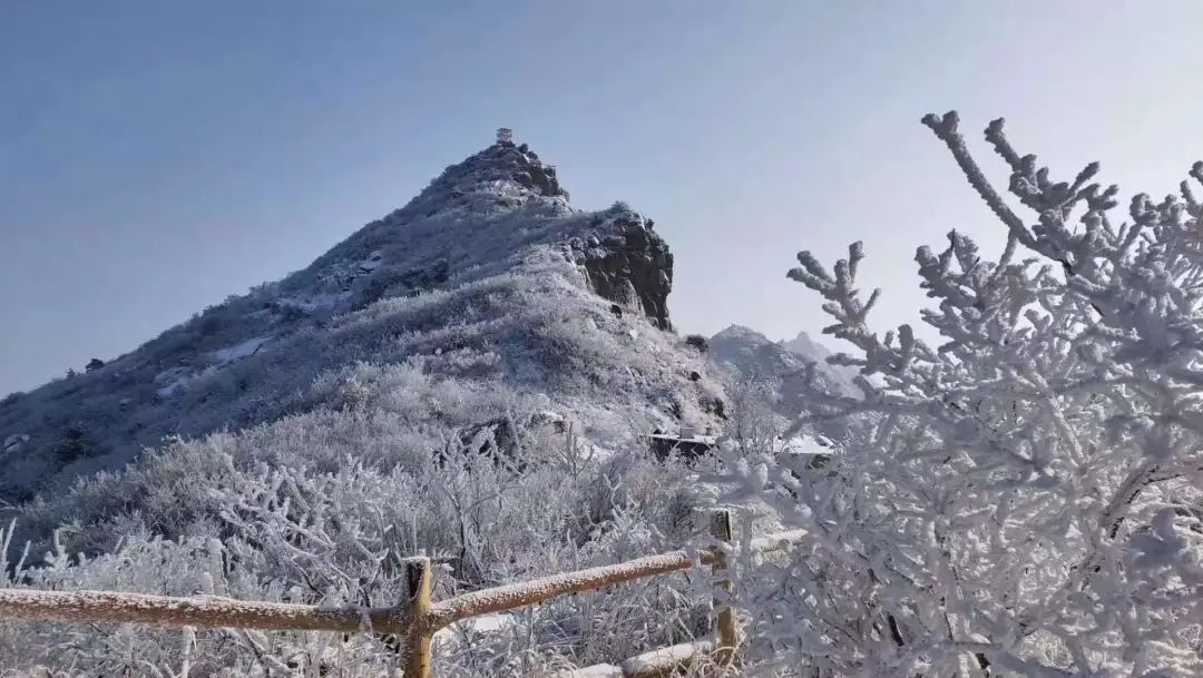 寒潮来袭雪景美如画来鲁商新甫山邂逅浪漫雪景