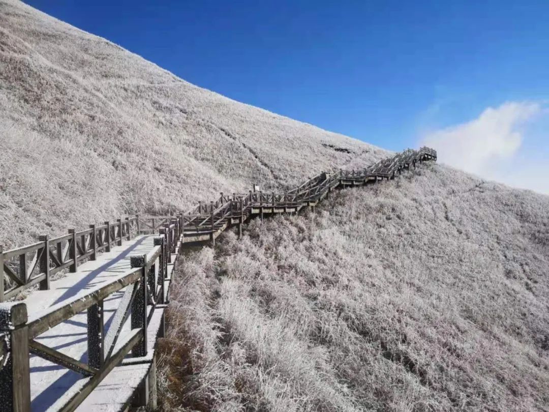 武功山雪后美成仙境还不赶紧来赏雪