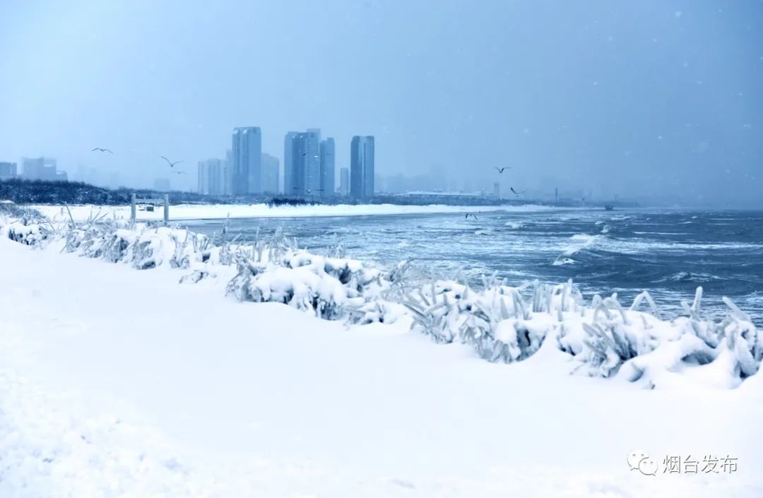 大雪中的烟台