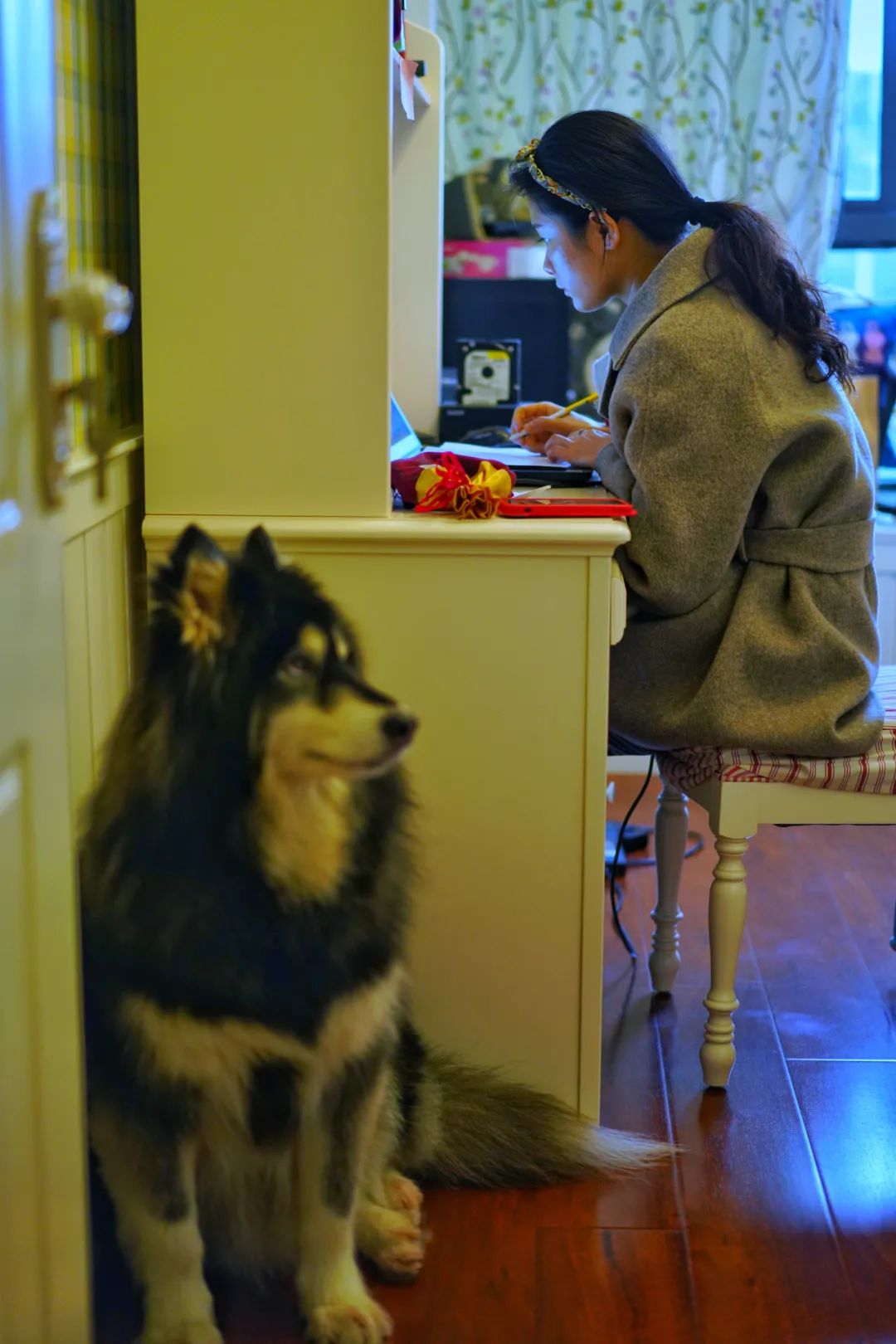 这里很重庆丨我们一起走过的2020（最新发布）