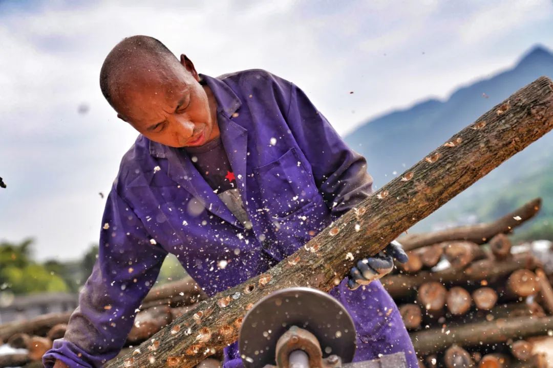 这里很重庆丨我们一起走过的2020（最新发布）