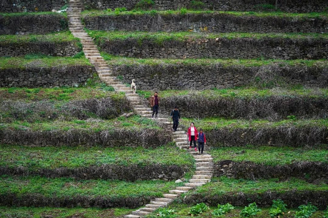 这里很重庆丨我们一起走过的2020（最新发布）