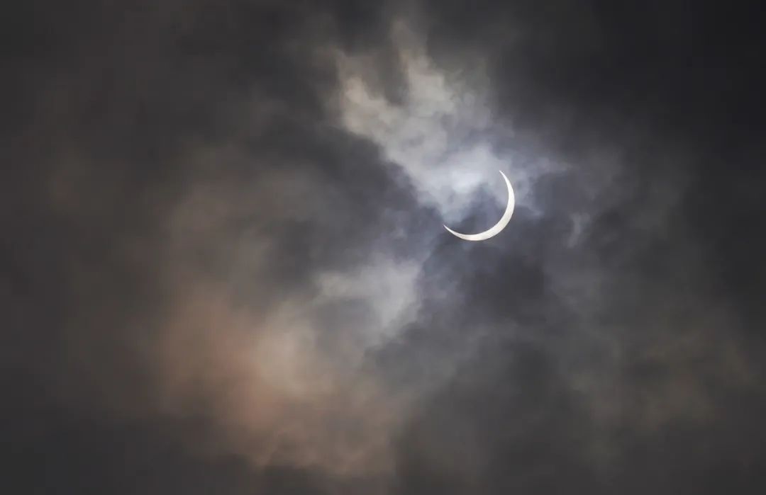 这里很重庆丨我们一起走过的2020（最新发布）