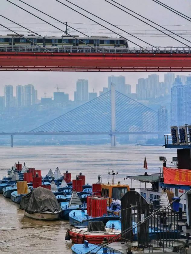 这里很重庆丨我们一起走过的2020（最新发布）