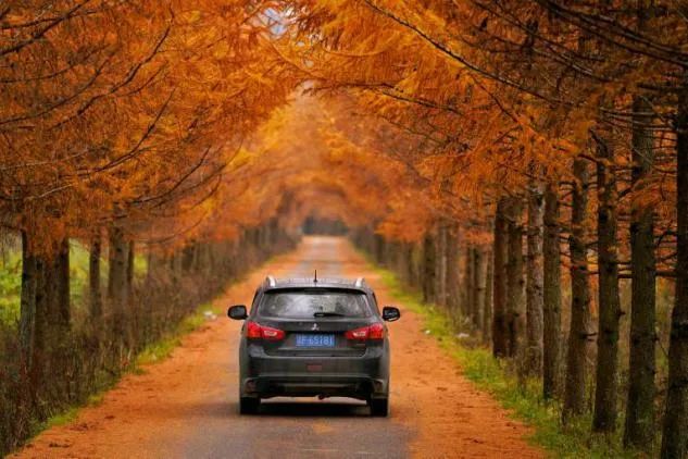 这里很重庆丨我们一起走过的2020（最新发布）