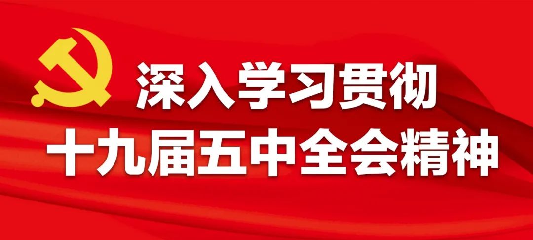 新县村深入学习宣传党的十九届五中全会精神