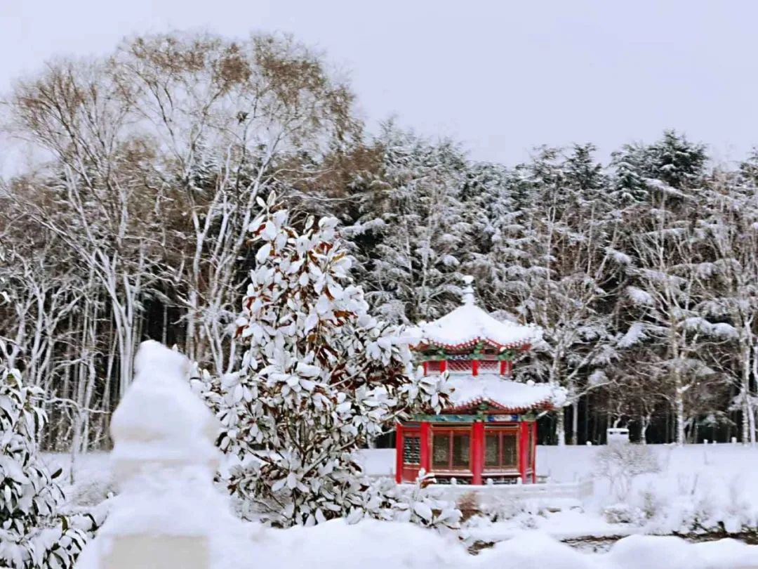 雪中烟台银装素裹