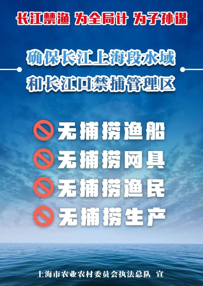 从2021年1月1日起十年禁渔全面启动