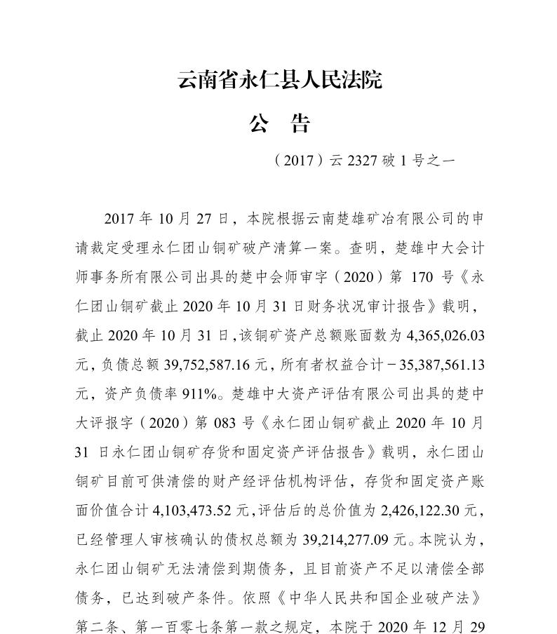 云南省永仁县人民法院公告