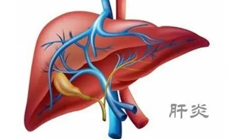 公卫·科普 | 肝病患者为什么会有肝区疼痛?