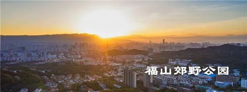 新年第一天！福建这样度过！（最新发布）