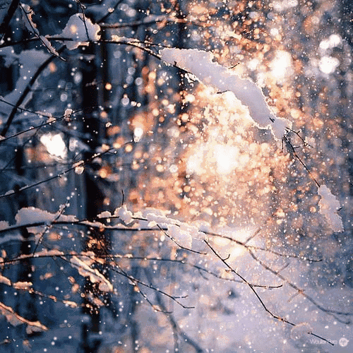 【陇法文苑】飘雪