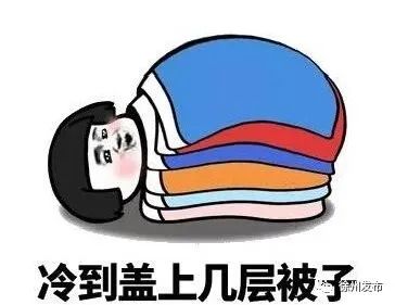 146级阵风2021年第一波寒潮来了