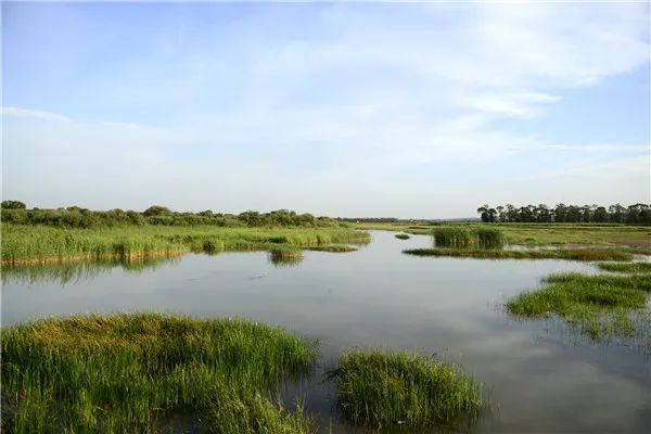 验收通过!大同桑干河入列国家湿地公园