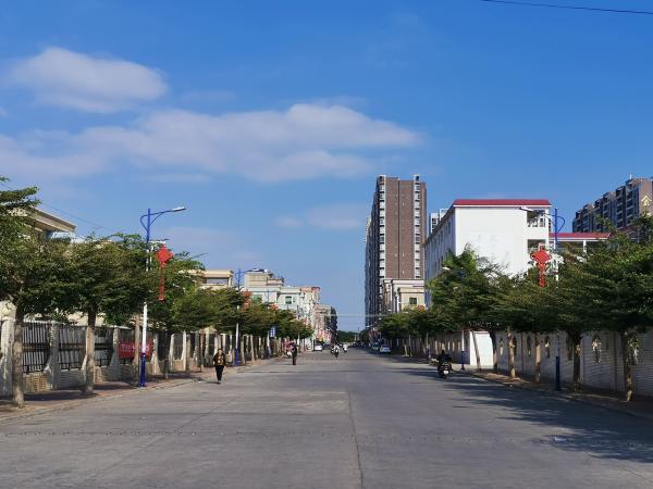 陆丰市甲子镇街景